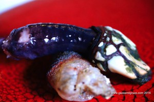 Gooseneck barnacle