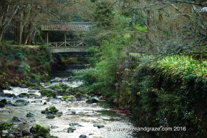 Takehara Temples
