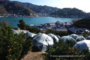 Shimo-Kamagari island