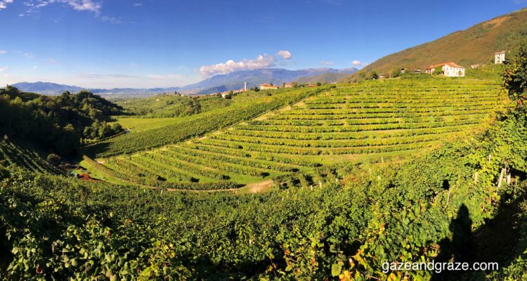 Veneto prosecco